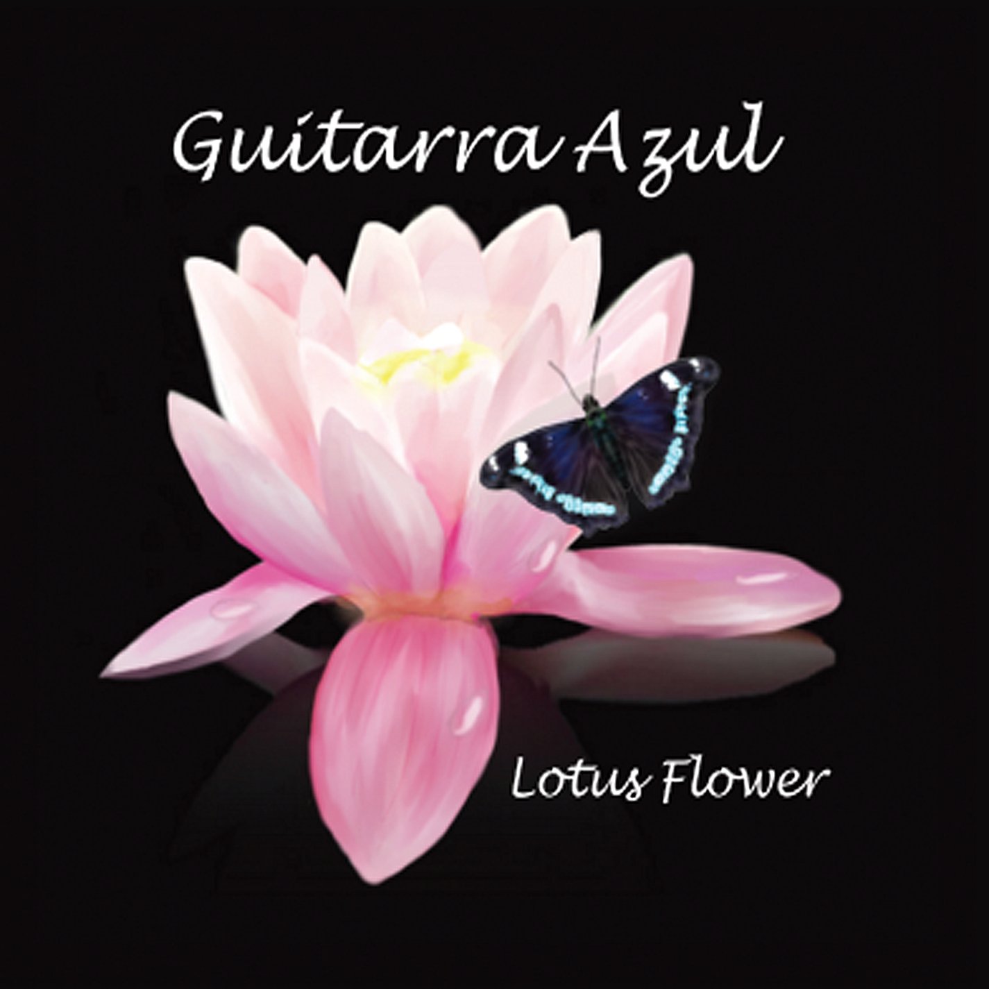 Buy Lotus Flower Online at Low Prices in India Amazon Music Store
