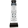 Daniel Smith Extra Fine Watercolor Paint, 5ml Tube, Payne's Gray, 284610065, 0.17 Fl Oz (Pack of 1)