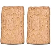 Braza Secret Bra Stash - Beige 2 Pieces,One Size