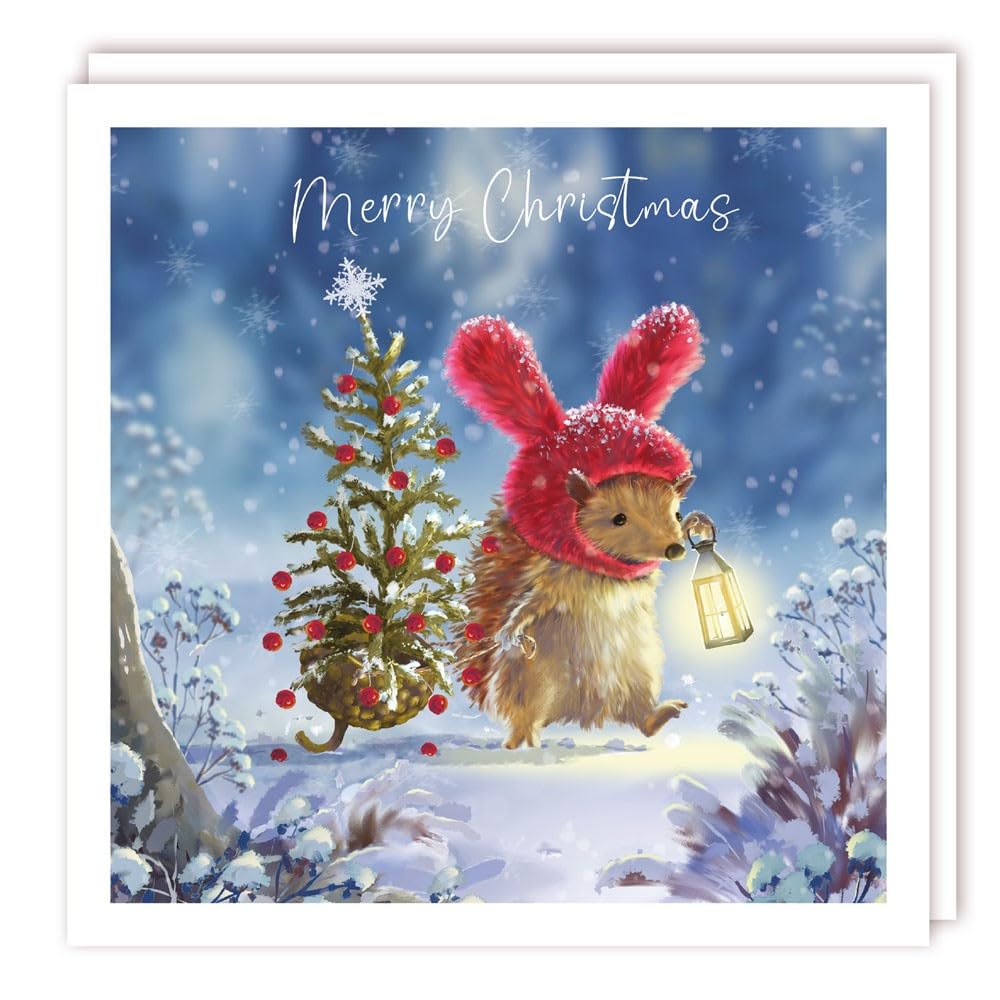 Tracks Publishing Charity Christmas Card Pack of 10 - Hedgehog and Christmas Tree - Christmas Card Multipack - In Aid of UK Charities