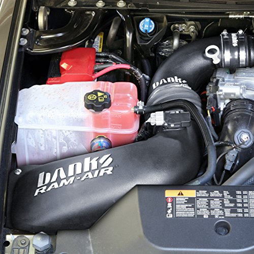 Banks 42230 Cold Air Intake System