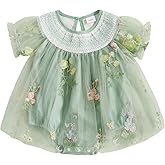 Baby Girls Tulle Tutu Dress Party Holiday Princess Dresses Infant Toddler Embroidery Flower Fairy Romper Dress