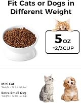LoeJan Elevated Cat Food Bowl 5 Oz Ceramic Raised Tilted Pet Water Bowl White 4 view 2
