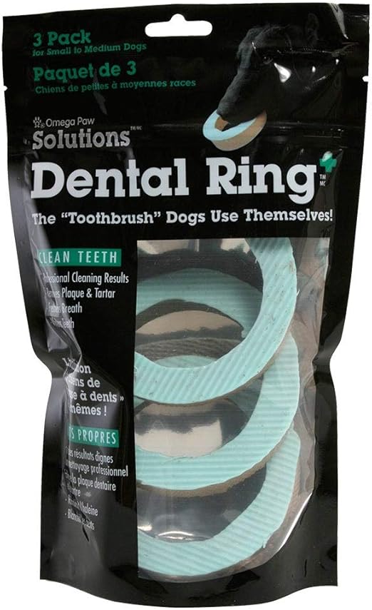 miniature schnauzer puppies for adoption