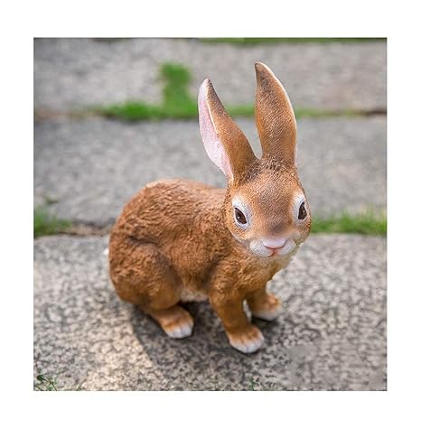 Conejo de jardin | Los mejores productos para el cuidado de tu conejo.