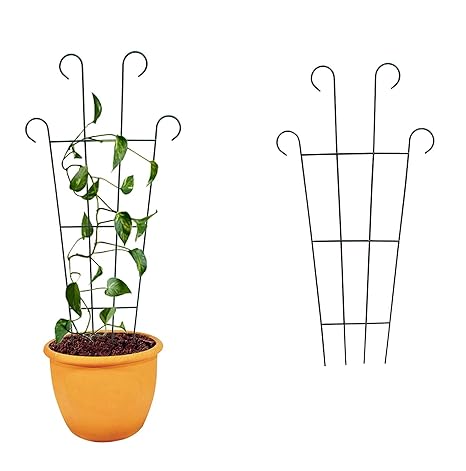 NAYAB 24 inch Garden Iron Trellis Rose Flower Supporter for Climbing Vines and Plants (Set of 2)