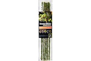 Galapagos Mossy Terrarium Sticks, 6-Pack, 18-Inch