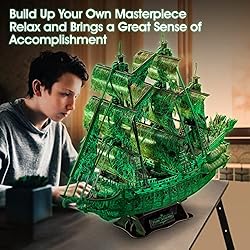 3D Puzzles for Adults Glow in The Dark The Flying