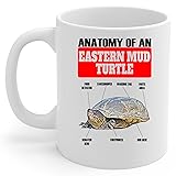 Lovesout Funny Eastern Mud Turtle Anatomy Chart