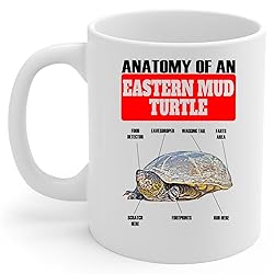 Lovesout Funny Eastern Mud Turtle Anatomy Chart