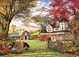 5D Full Diamond Painting Kits for Adults 16x20