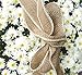 Burlap Ribbon by the Roll. Huge 50 Yards Jute Spool by Drency. 1.5 Inch