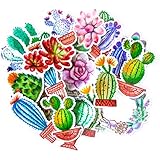 Navy Peony Colorful Cactus Stickers | Cute Waterproof Decals for Your Water Bottles, Laptops and Phones | Girls' Sticker Packs for Your Scrapbook, Planners and Bullet Journals (31 Pieces)
