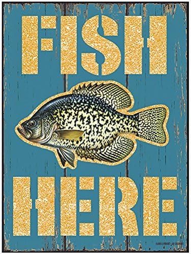 Amazon 魚ここブルーノベルティsign 面白いホーム飾りガレージ壁プラスチックギャグギフト 8 X 12 P 812 Fish Here Blue インテリア オンライン通販