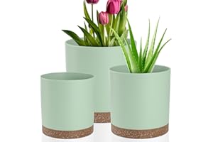 QRRICA Plant Pots – 6/5/4 Inch Plastic Planters with Drainage Holes and Saucers, Flower Pots for Indoor and Outdoor Plants (Green)
