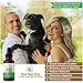Hemp Oil For Dogs and Cats - Full Spectrum Organic Drops Hemp Oil For Anxiety & Stress Relief- Arthritis Pain Relief - Hip and Joint Dog Supplement- Apply To Hemp Prime Treats (375mg)