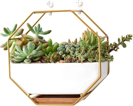 Maceta geométrica para colgar en la pared, diseño moderno de ...