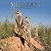 Meerkats 2019 Calendar