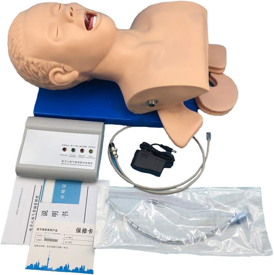 UAIMOD Adult Intubation Manikin Teaching Model Airway Management Trainer Tracheal Intubation Training Simulator Model Science Lab Education