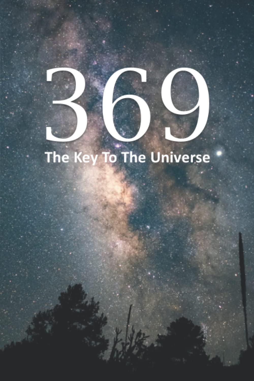 369 The Key To The Universe: A Guided Workbook for