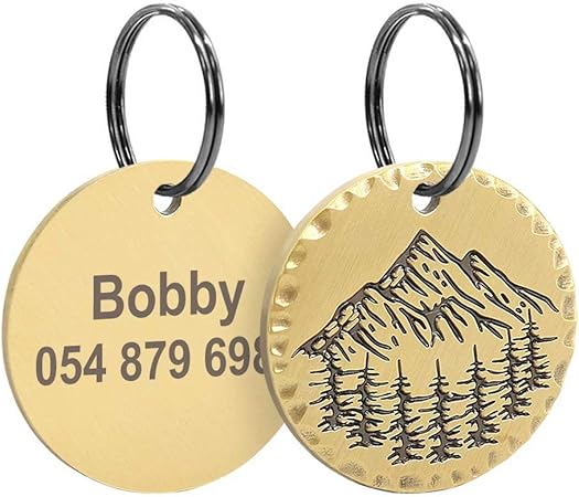 cat name tags amazon