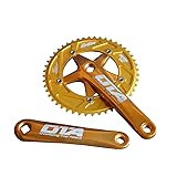 SENQI Bicycle Chain Wheel Fixed Gear 48T Aluminum