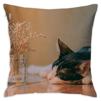 Amazon Com Osvbs Sleeping Cats And Potted Plants Pillowcases