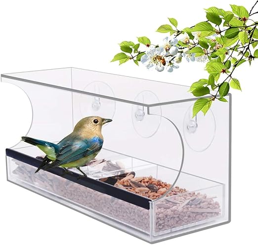 Amazon Com Yestbuy Acrylic Bird Feeder Bird Feeders For