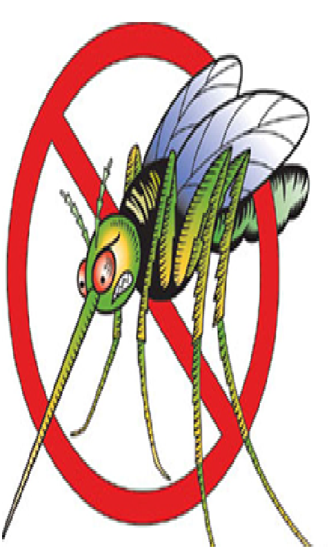 Getting Rid of 7 most hated bugs - Thumbnail 3