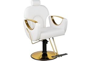 Dangvivi White Barber Chair, Reclining Salon Chair for Hair Stylist, Height Adjustable Hair Styling Armchair with 360 Degrees Rolling Swivel, Multi-Function Hairdresser Braiding Armchair