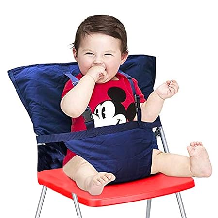 buy buy baby booster seat