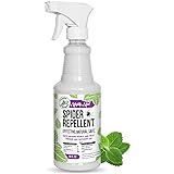 Mighty Mint - 16oz Spider Repellent Peppermint Oil - Natural Spray for Spiders and Insects - Killer + Deterrent