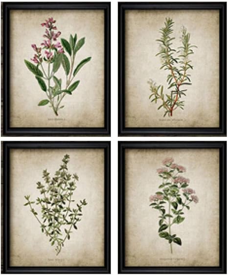 Amazon ヴィンテージ ハーブ アートパネル 版画 オレガノ ローズマリー セージ タイム 花 ポスター レトロ キャンバス 写真 モダン 医者 クリニック ホーム アートパネル 壁 装飾 30x40cmx4 いいえ フレーム アートフレーム ポスター オンライン通販