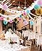 20 Pcs Gold Tissue Paper Flowers and Pink Pom Poms Lanterns for Baby Shower Birthday Decoration,Bridal Wedding Party Supplie