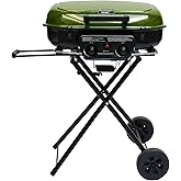 Flintex Portable Propane Gas Grill For Camping, 2-Burner Grill, 340 sq.in. | Full Enameled Body. 2-in-1 Grill &amp; Griddle with 18000 BTU Stainless Steel Burner for Tailgating &amp; Backyard. Green