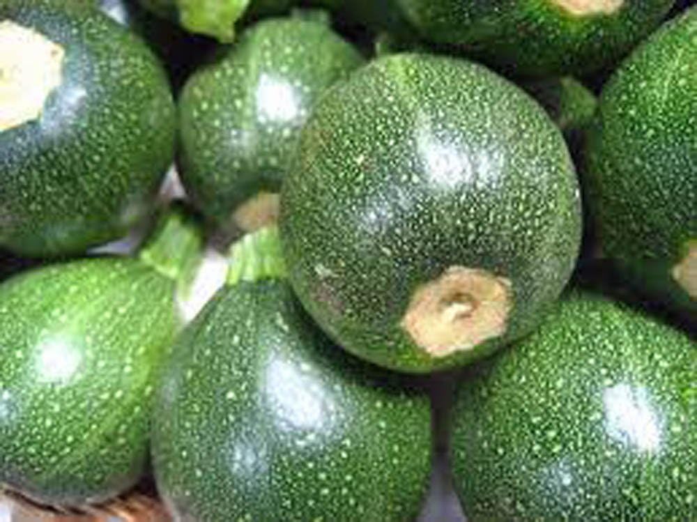Zucchini Seeds, Round Squash, Heirloom, 100+ Seeds, Non GMO, Healthy Vegetable
