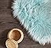 Chanasya Super Soft Faux Fur Fake Sheepskin Blue Sofa Couch Stool Casper Vanity Chair Cover Rug/Solid Shaggy Area Rugs for Living Bedroom Floor - Turquoise 2ftx3ft