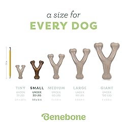 Benebone Wishbone Durable Dog Chew Toy for