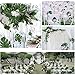 30 Pcs 2 Kinds Large Artificial Palm Leaves Faux Tropical Plant Leaves Monstera Leaves Safari Leaves for Hawaiian Luau Party Suppliers Jungle Beach Table Leave Decorations