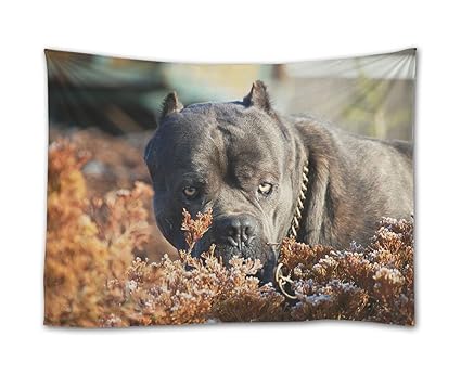 Amazoncom Shadenov Wall Hanging Tapestry Cane Corso Dog