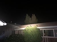 Review Image by Dave Vickery II Dave Vickery II