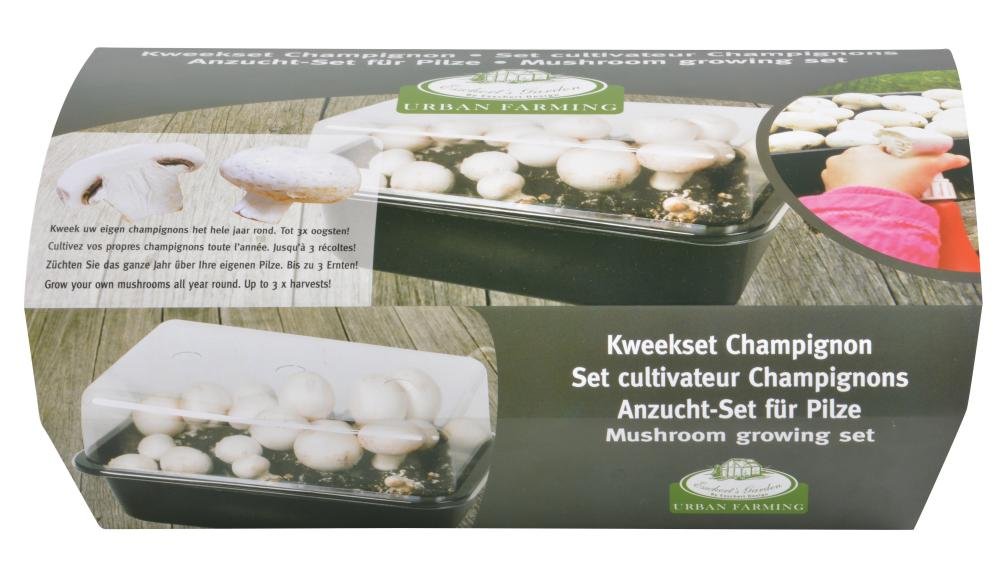 ESSCHERT DESIGN Anzucht-Set Pilze, 9 x 9 x 8 cm: Amazon.es: Hogar