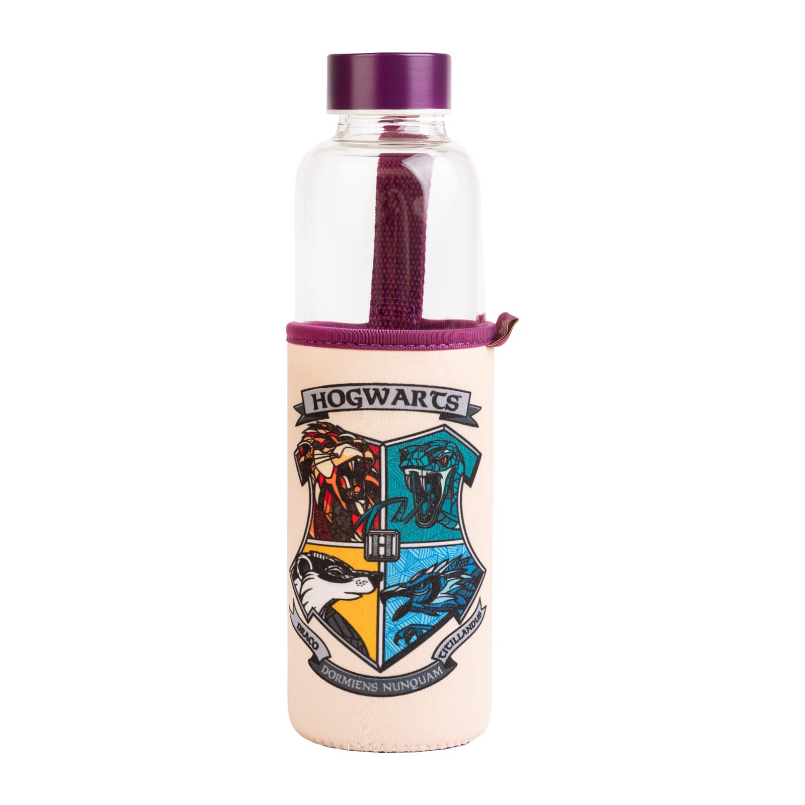 Grupo Erik Glass Water Bottle - Harry Potter Gifts | 17oz - 500ml Water Bottle Hot and Cold, Gym, Travel Bottles | Harry Potter Merchandise