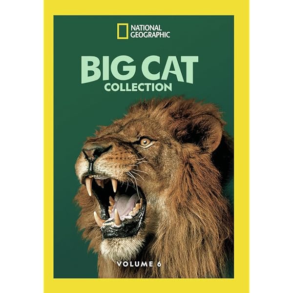 Amazon.com: Big Cat Collection Vol 5 : National Geographic: Movies