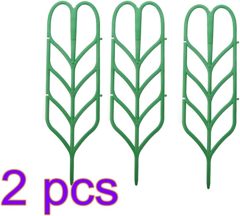 Planta de jardín de apoyo y planta de apoyo de rejilla para ...