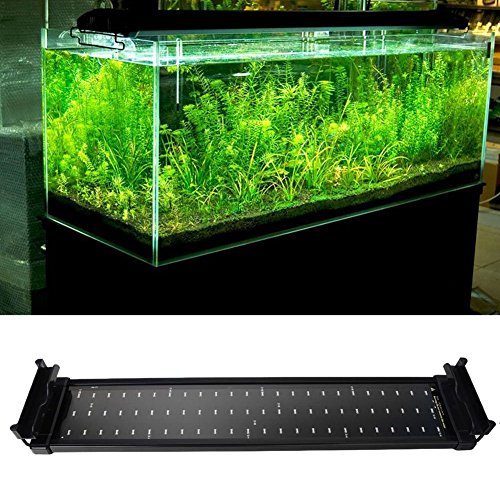 MingDak LED Aquarium Light Fixture for Fish Tank,Suitable for Saltwater and Freshwater,72 LEDs,20-inch,Lighting Color White and Blue