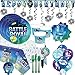 Battle Royal Video Game Birthday Party Supplies Pack For 16 With Plates, Cups, Small Napkins, Paper Tablecover, Swirls, Banner, Cutlery, Candle, Balloons, Add An Age Banner, and Exclusive Pin