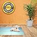 Puppy Pads 100 Count - Disposable & Absorbent - Extra Heavy Duty Dog Pee Pads - with Pet Attractant - No More Leaks - Training Supplies