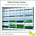 Window Garden Microgreen Assortment 5 Pack Refill – Use with Grow n Serve Kit, Multi-Use 15” x 6” Planter Tray, Pre-Measured Soil + Seed, Zesty Radish, Sunflowers, Pea Shoots, Wheat Grass and Salad.