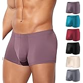 Arjen Kroos Men's Boxer Briefs, Sexy Silky Breathable Ice Silk Mens Trunks Underwear, Underwear for Men 6 Pack